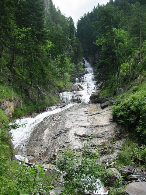 IMG_3155.JPG