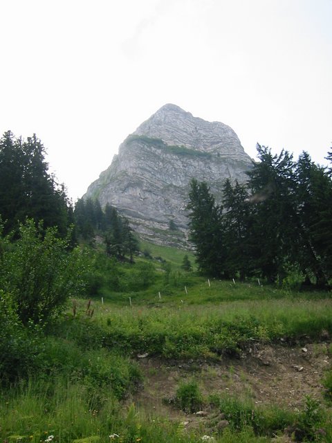 IMG_3190.JPG