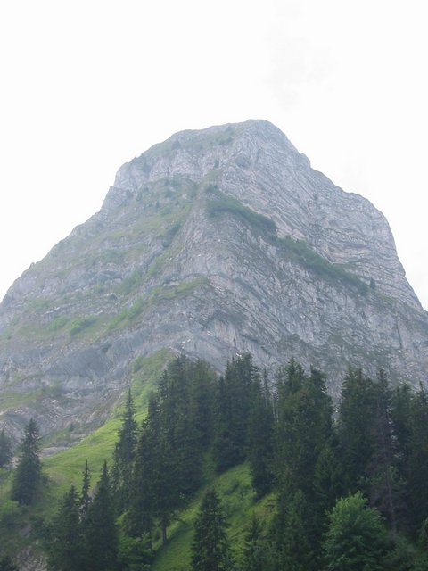 IMG_3192.JPG