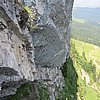 IMG_3175.JPG
