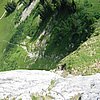 IMG_3177.JPG