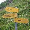 IMG_3187.JPG