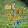 IMG_3191.JPG