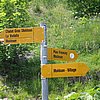 IMG_3193.JPG