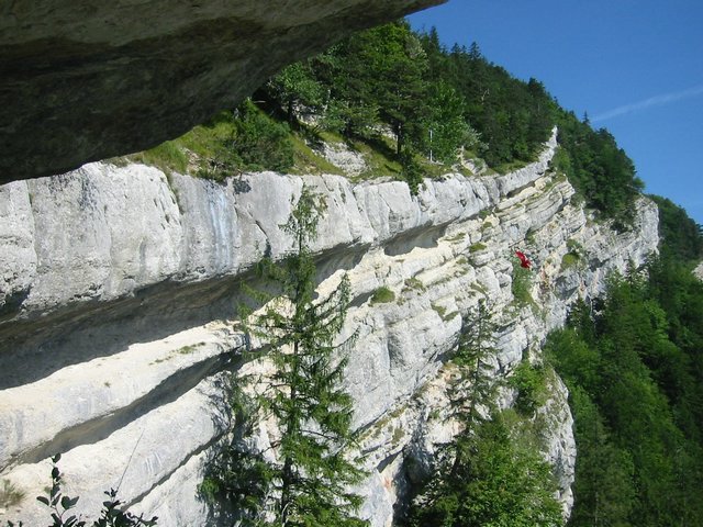 IMG_3306.JPG