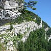 IMG_3304.JPG