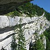IMG_3306.JPG