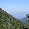 IMG_3325.JPG