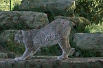 PICT0690.jpg