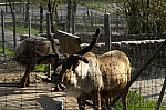 PICT0692.jpg