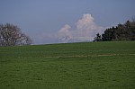 PICT0711.jpg